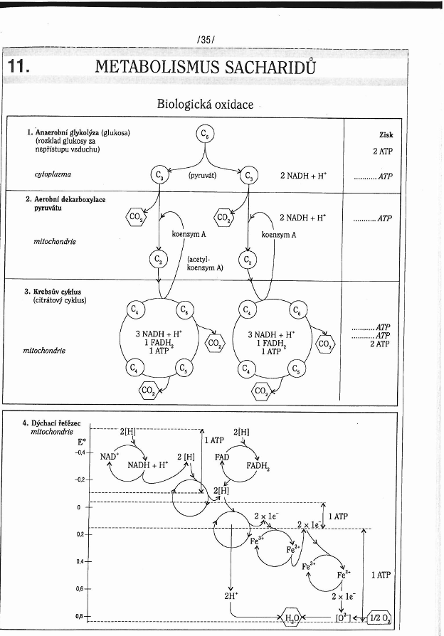 http://forum.matweb.cz/upload3/img/2013-04/70232_Sacharidu1.png