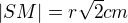 $|SM| = r\sqrt{2} cm$