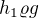 $h_{1}\varrho g$