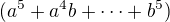 $(a^5 + a^4 b + \dots + b^5)$