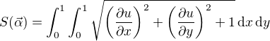 $S(\vec{\alpha}) = \int_0^1\int_0^1 \sqrt{\left(\frac{\partial u}{\partial x}\right)^2+\left(\frac{\partial u}{\partial y}\right)^2+1} \,\mathrm{d}x\,\mathrm{d}y$