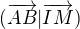 $(\overrightarrow {AB}| \overrightarrow{IM})$