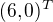 $(6,0)^T$
