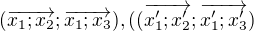 $ (\overrightarrow{x_1;x_2};\overrightarrow{x_1;x_3}),((\overrightarrow{x'_1;x'_2};\overrightarrow{x'_1;x'_3})$