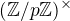 $(\mathbb{Z}/p\mathbb{Z})^{\times}$