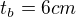 $t_{b}=6cm$
