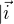 $|\vec{i}$