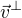 $\vec{v}^{\bot}$