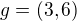 $g=(3,6)$