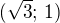 $(\sqrt3;\,1)$
