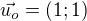 $\vec{u_o} = (1;1)$