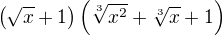 $\(\sqrt x+1\)\(\sqrt[3]{x^2}+\sqrt[3]{x}+1\)$
