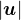 $|\boldsymbol{u}|$