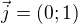 $\vec{j}=(0;1)$