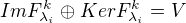 $ImF^k_{\lambda _i} \oplus KerF^k_{\lambda _i} = V$