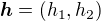 $\boldsymbol{h}=(h_1,h_2)$