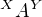 $^{X}A^Y$