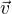 $\vec {v}$