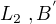 $L_{2}\;,B^{'}$