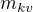 $m_{kv}$