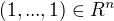 $(1, ..., 1)\in R^{n}$