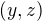 $(y,z)$