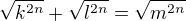 $\sqrt{k^{2n}} + \sqrt{l^{2n}} = \sqrt{m^{2n}}$