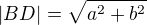 kopírovat do textarea $|BD|=\sqrt{a^2+b^2}$