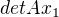 $detAx_{1}$
