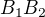 $B_1B_2$
