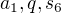 $a_1, q, s_6$