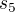 $s_{5}$