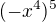$(-x^4)^5$