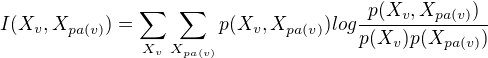 $I(X_v,X_{pa(v)})=\sum_{X_v} \sum_{X_{pa(v)}} p(X_v,X_{pa(v)}) log {p(X_v,X_{pa(v)})\over p(X_v)p(X_{pa(v)})}$