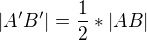 $|A'B'|=\frac{1}{2}*|AB|$