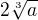 $2\sqrt[3]{a}$