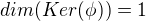 $dim(Ker(\phi)) = 1$