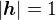 $|\boldsymbol{h}|=1$