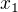 $x_{1} $