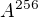 $A^{256}$