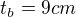 $t_{b}=9cm$