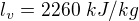 $l_v=2260\ kJ/kg$