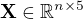 $\mathbf{X}\in\mathbb{R}^{n\times 5}$