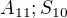 $A_{11};S_{10}$