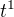 $t^{1}$