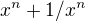 $x^{n} + 1/ x^{n}$