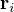 $\mathbf{r}_i$