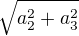 $\sqrt{a_{2}^{2}+a_{3}^{2}}$