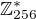 $\mathbb Z_{256}^*$