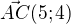 $\vec{AC}(5;4)$